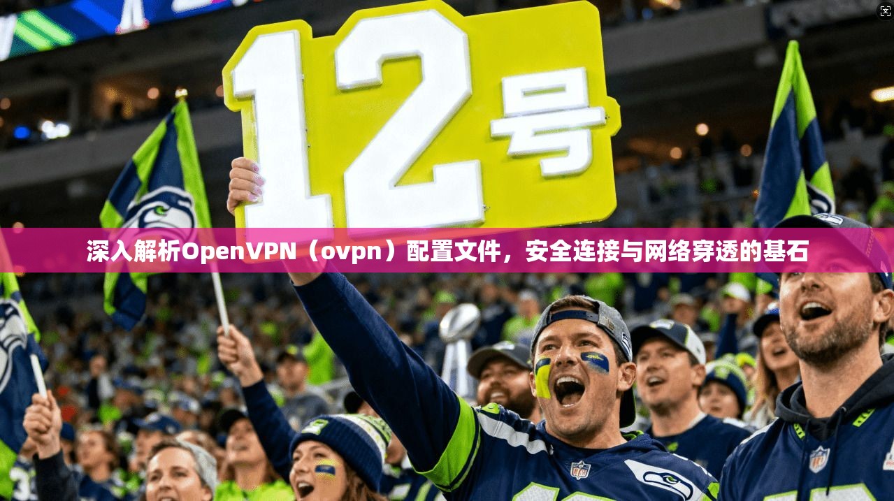 深入解析OpenVPN（ovpn）配置文件，安全连接与网络穿透的基石