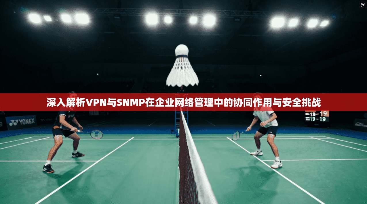 深入解析VPN与SNMP在企业网络管理中的协同作用与安全挑战