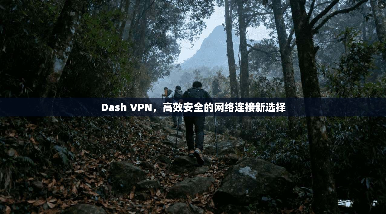 Dash VPN，高效安全的网络连接新选择