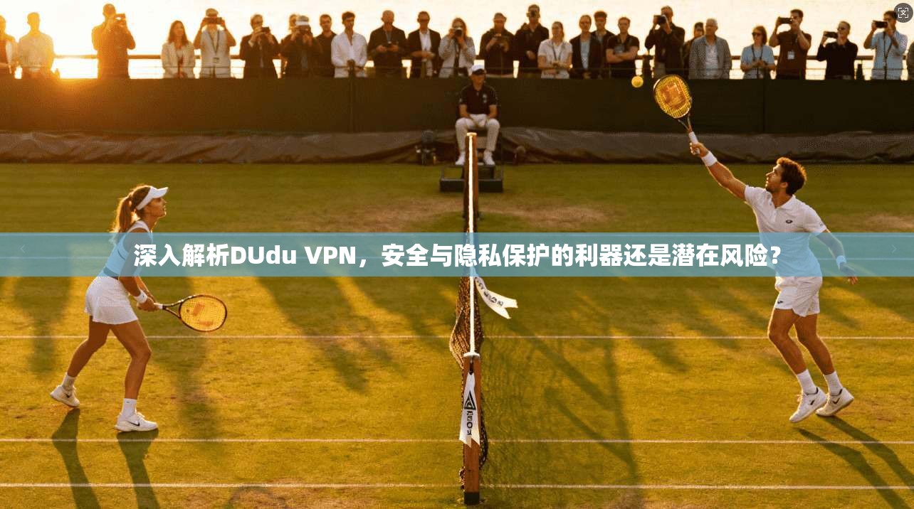 深入解析DUdu VPN，安全与隐私保护的利器还是潜在风险？