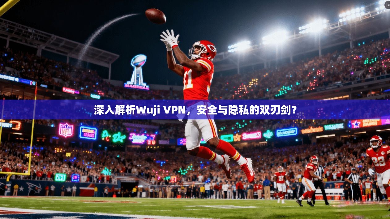 深入解析Wuji VPN，安全与隐私的双刃剑？