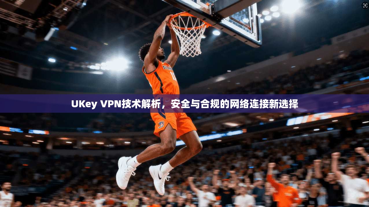 UKey VPN技术解析,安全与合规的网络连接新选择 UKey VPN技术解析,安全与合规的网络连接新选择