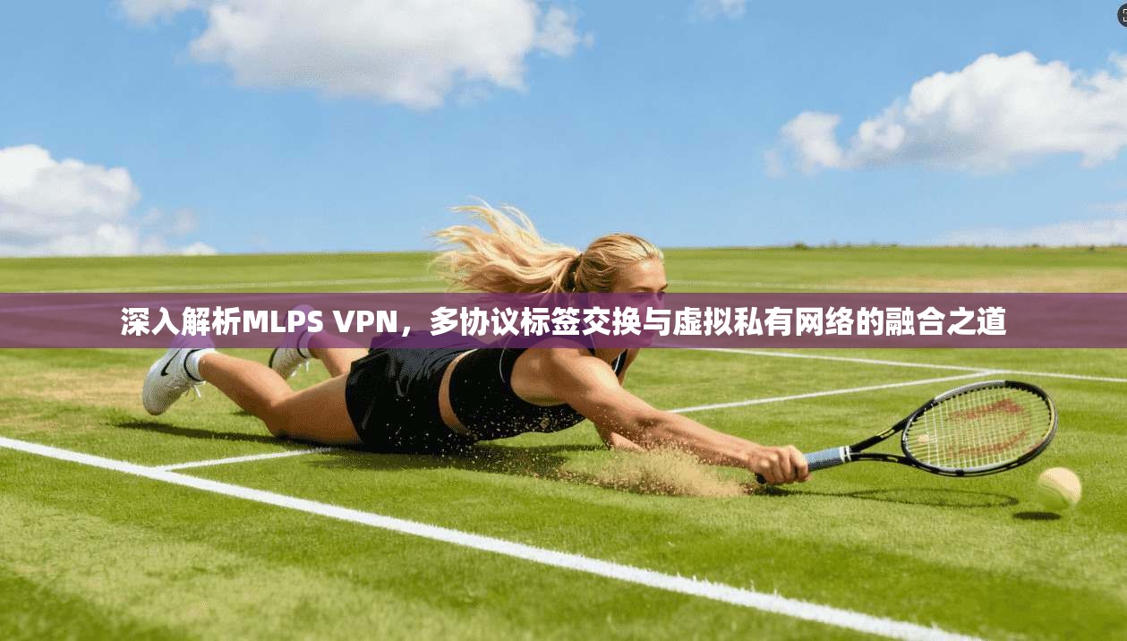 深入解析MLPS VPN，多协议标签交换与虚拟私有网络的融合之道