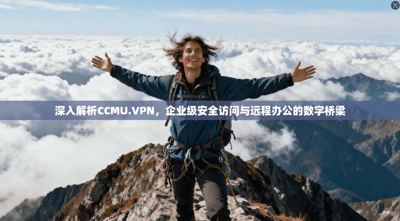 深入解析CCMU.VPN，企业级安全访问与远程办公的数字桥梁