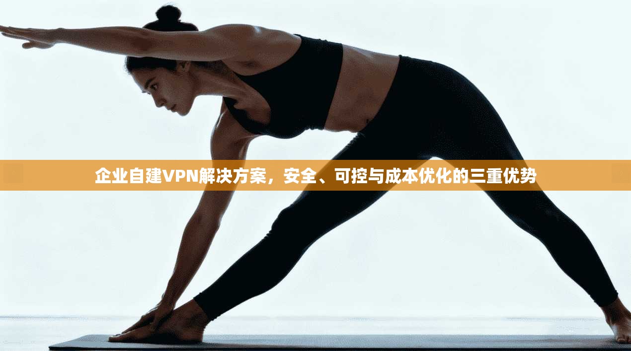 企业自建VPN解决方案，安全、可控与成本优化的三重优势