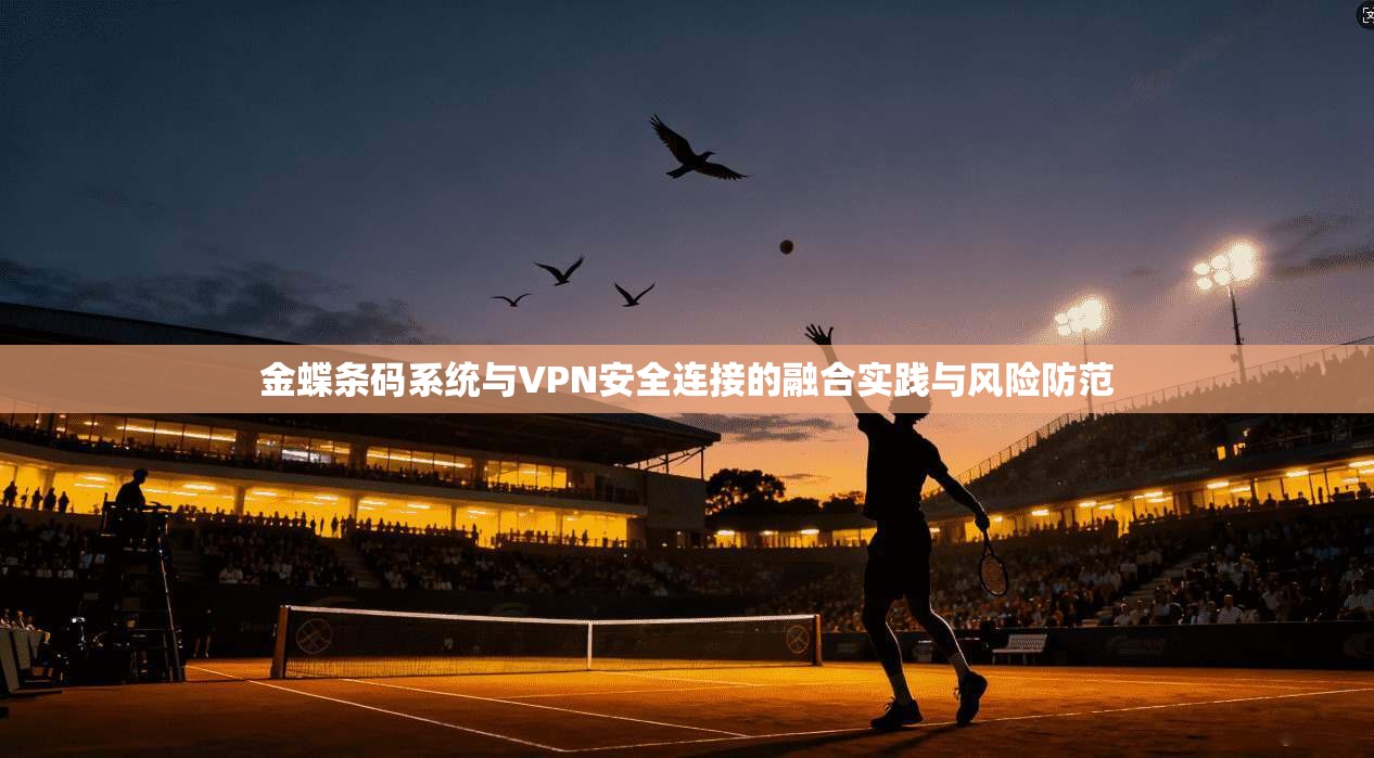 金蝶条码系统与VPN安全连接的融合实践与风险防范