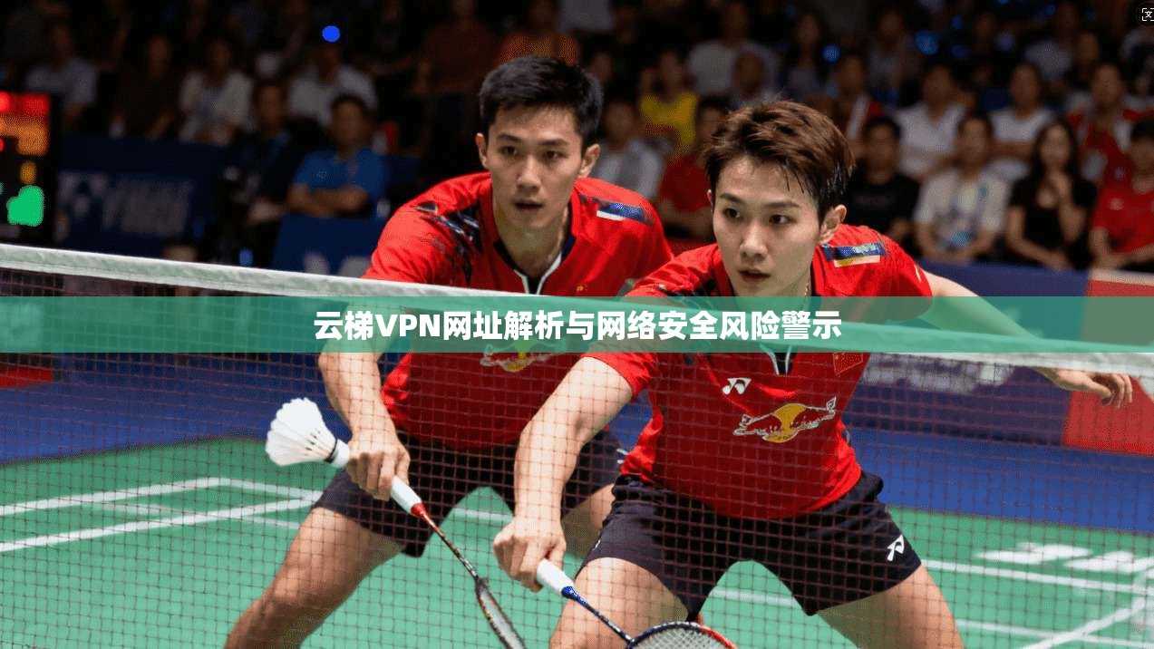 云梯VPN网址解析与网络安全风险警示