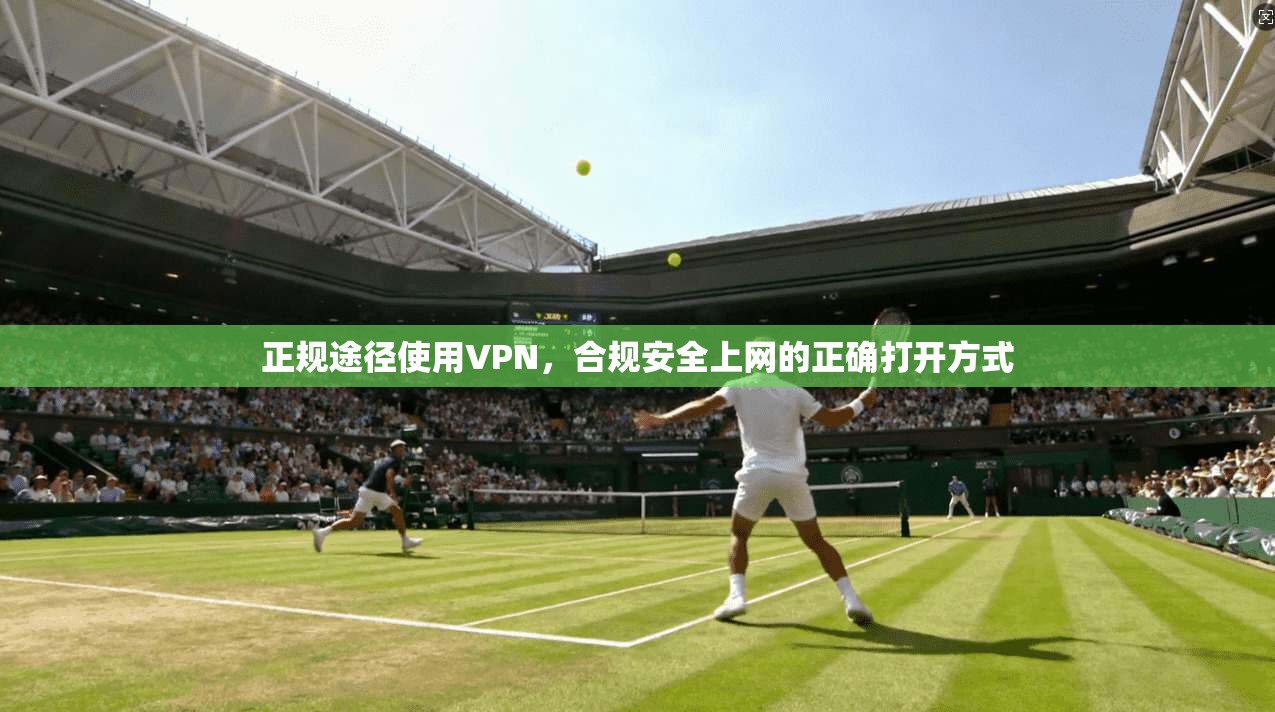 正规途径使用VPN,合规安全上网的正确打开方式
