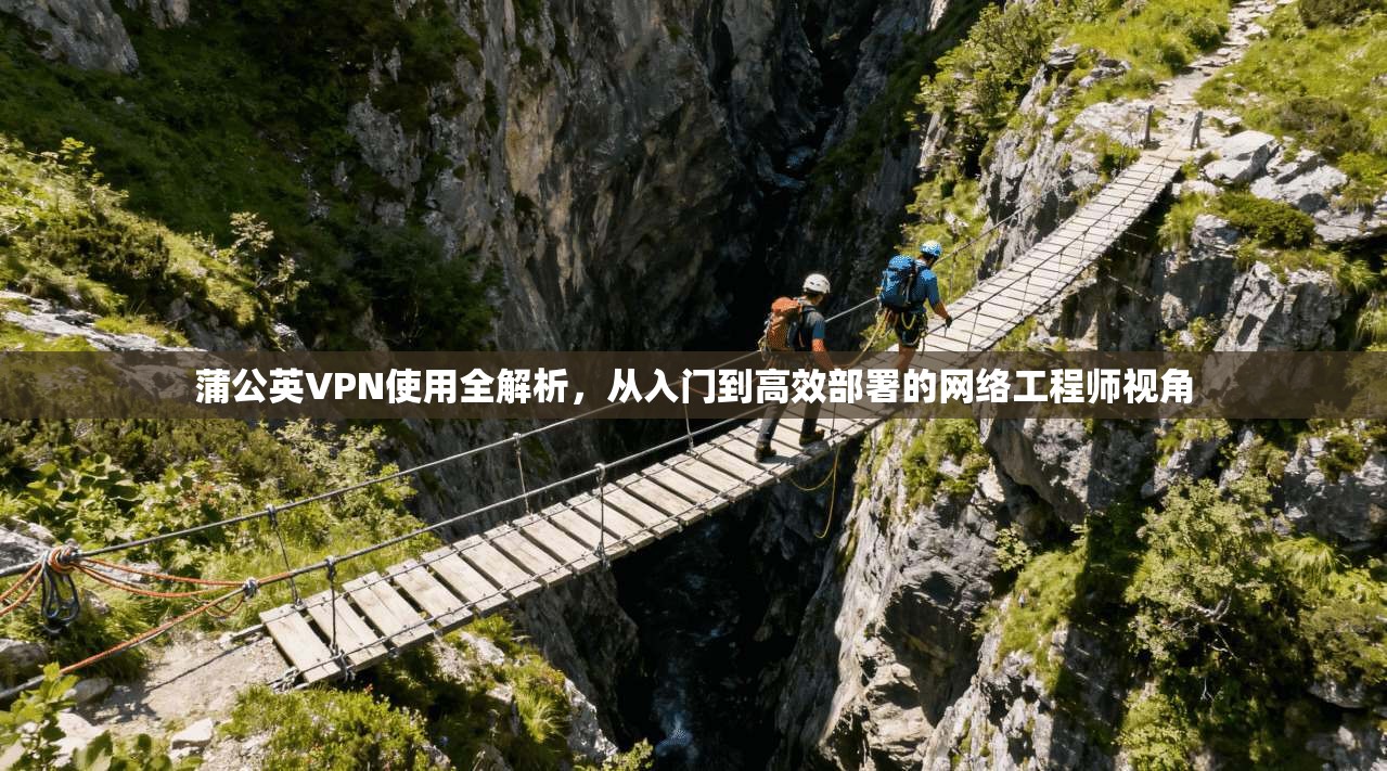 蒲公英VPN使用全解析，从入门到高效部署的网络工程师视角