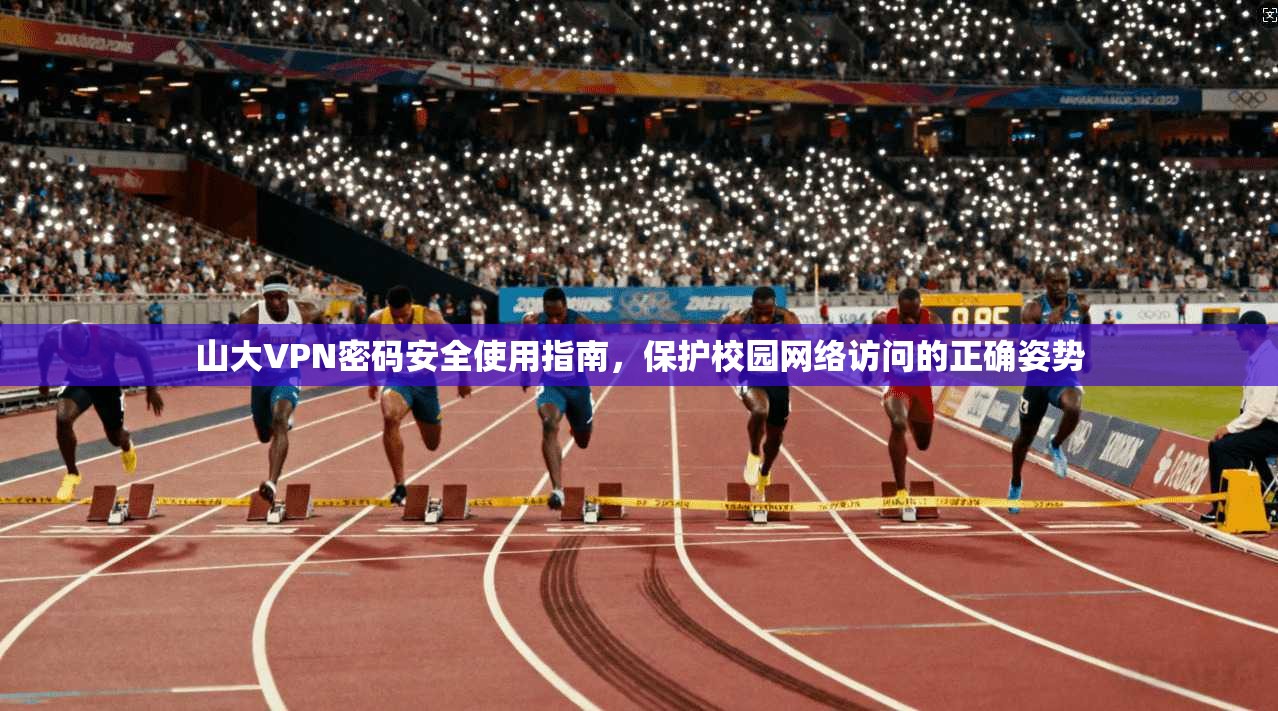 山大VPN密码安全使用指南,保护校园网络访问的正确姿势