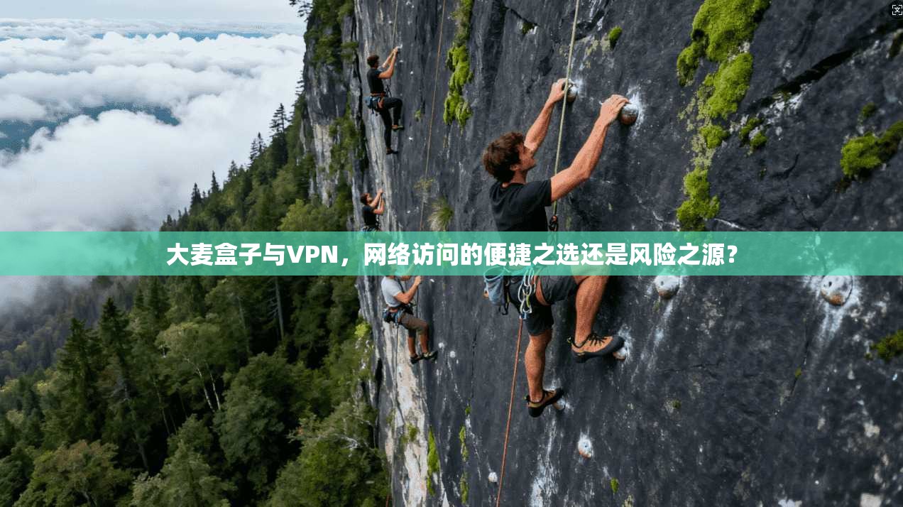 大麦盒子与VPN,网络访问的便捷之选还是风险之源?