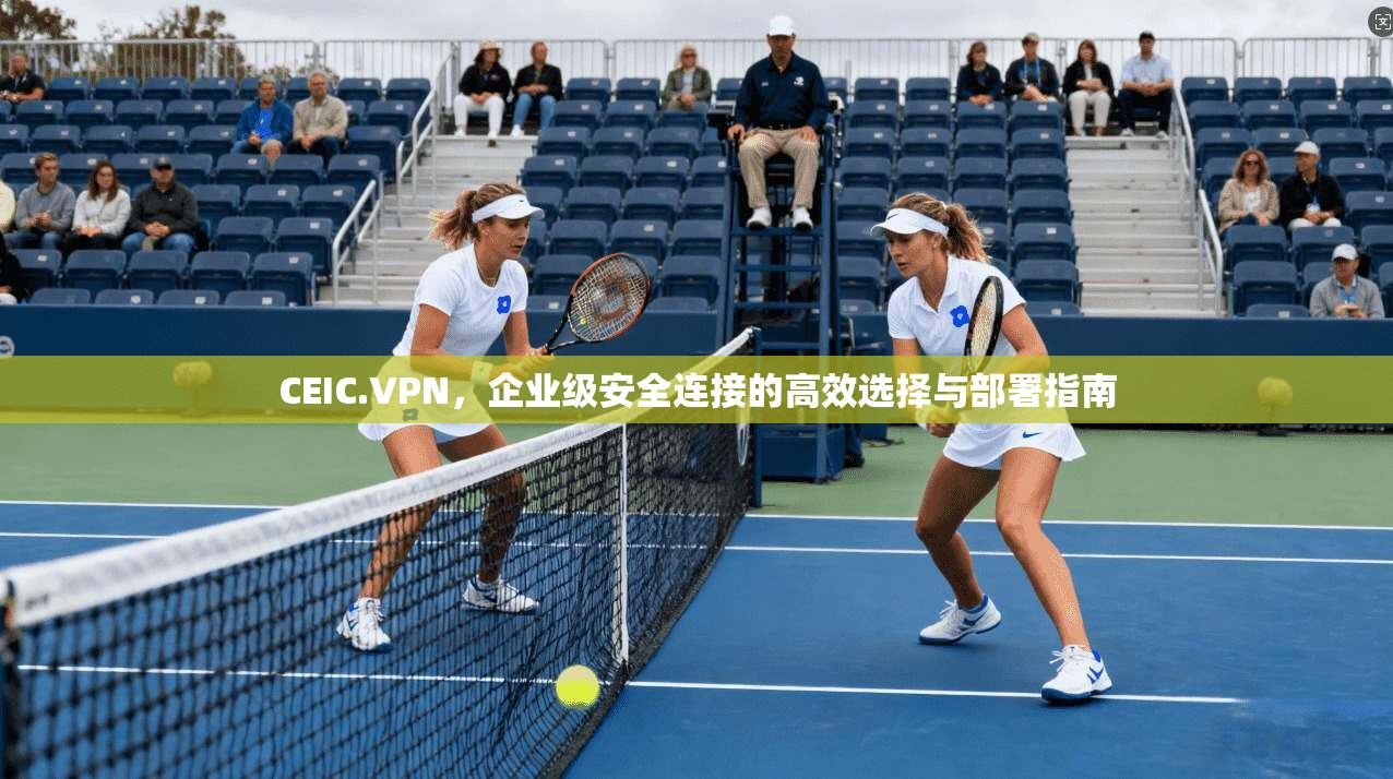 CEIC.VPN，企业级安全连接的高效选择与部署指南