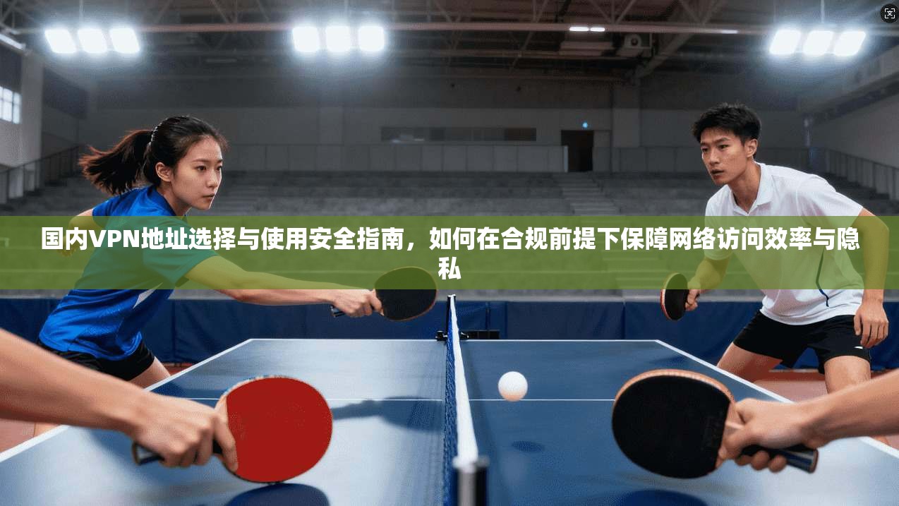 国内VPN地址选择与使用安全指南,如何在合规前提下保障网络访问效率与隐私