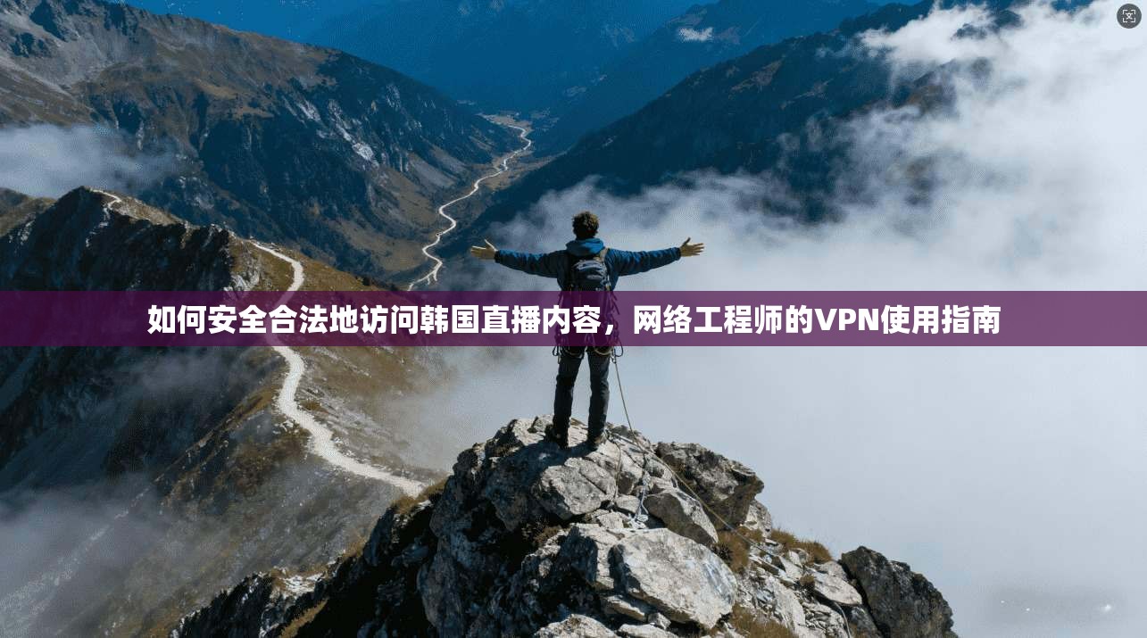 如何安全合法地访问韩国直播内容,网络工程师的VPN使用指南