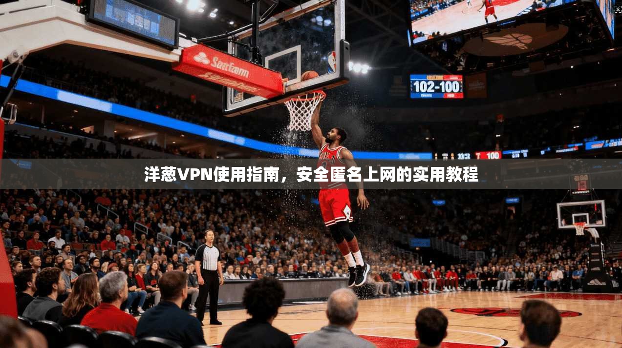 洋葱VPN使用指南,安全匿名上网的实用教程