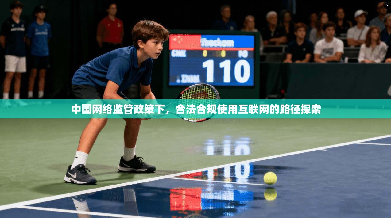 中国网络监管政策下，合法合规使用互联网的路径探索