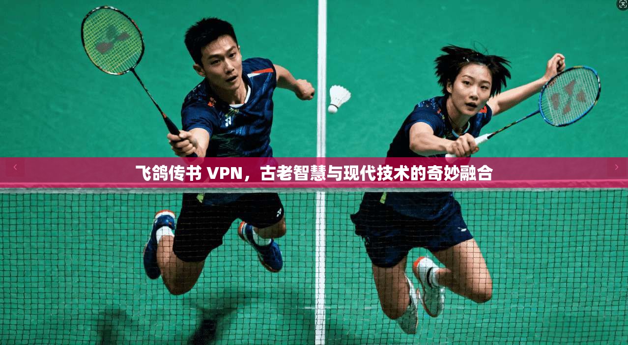 飞鸽传书 VPN，古老智慧与现代技术的奇妙融合
