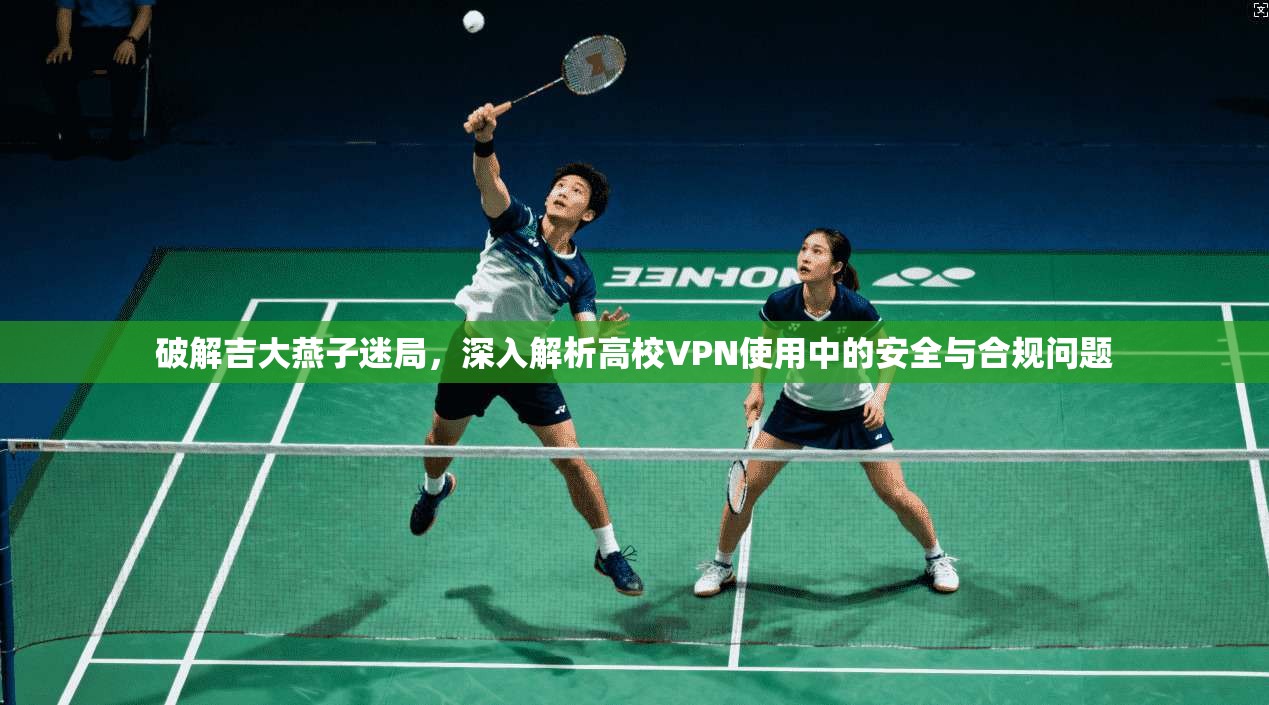破解吉大燕子迷局,深入解析高校VPN使用中的安全与合规问题