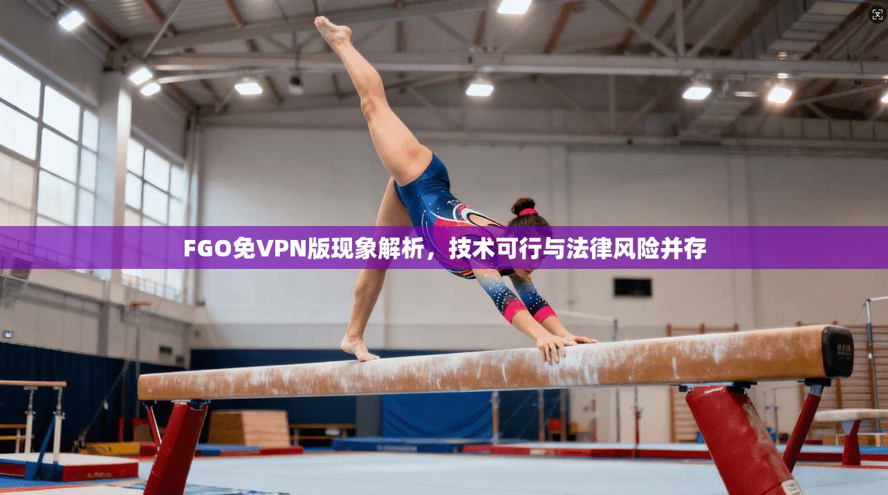 FGO免VPN版现象解析，技术可行与法律风险并存