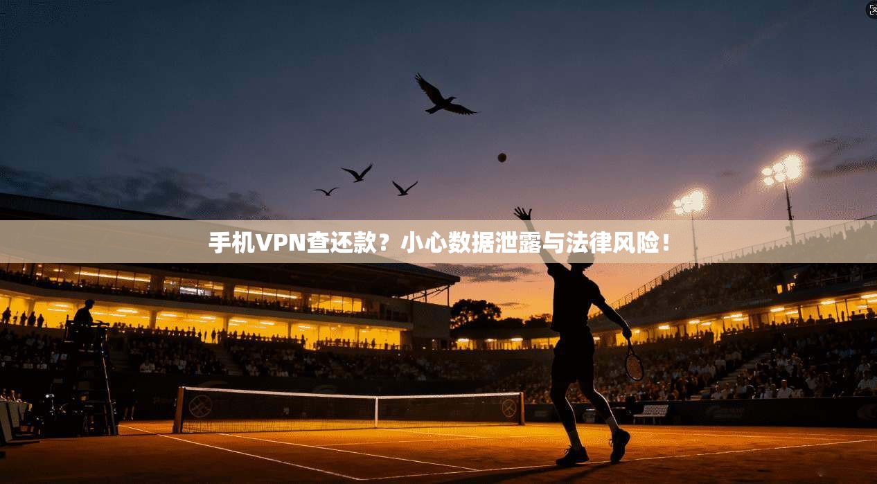 手机VPN查还款?小心数据泄露与法律风险!