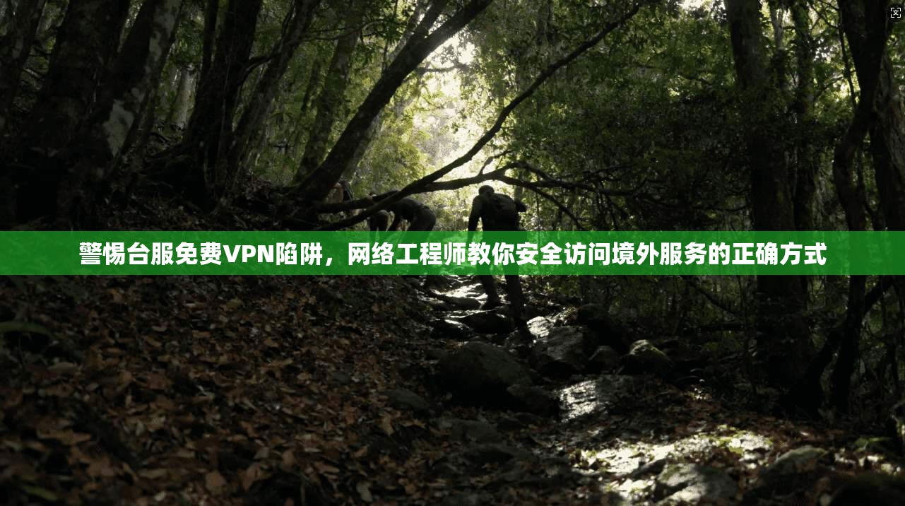 警惕台服免费VPN陷阱，网络工程师教你安全访问境外服务的正确方式