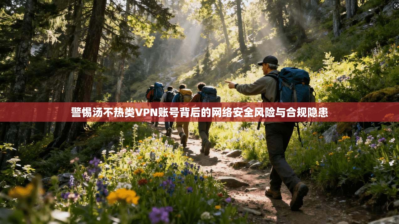 警惕汤不热类VPN账号背后的网络安全风险与合规隐患
