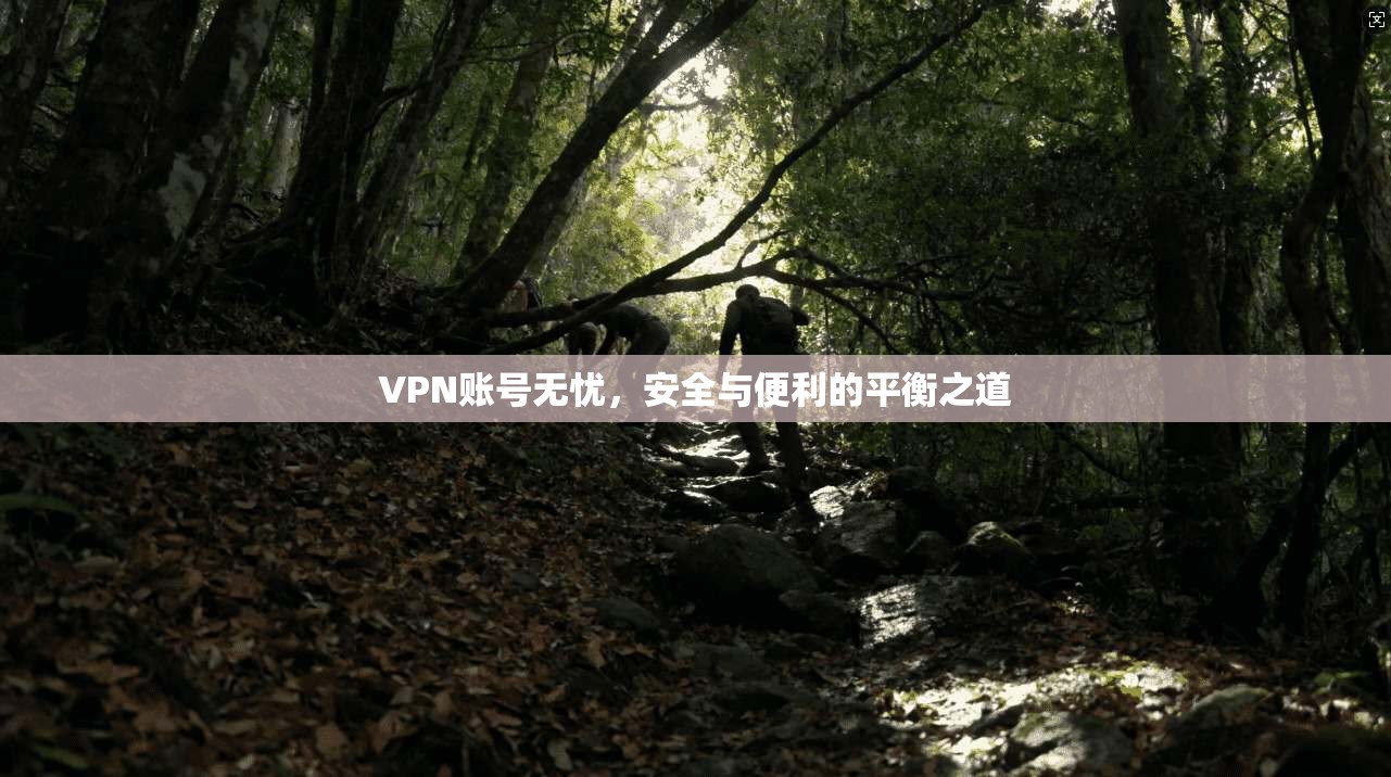 VPN账号无忧，安全与便利的平衡之道