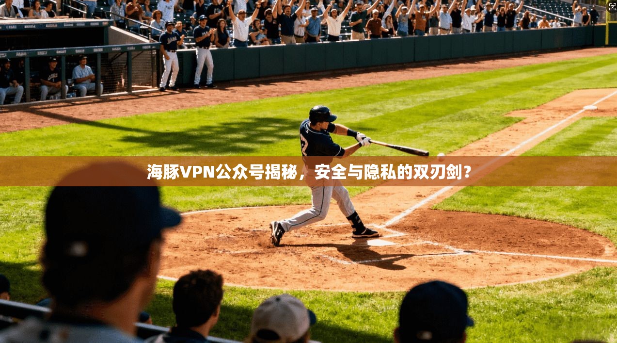 海豚VPN公众号揭秘，安全与隐私的双刃剑？