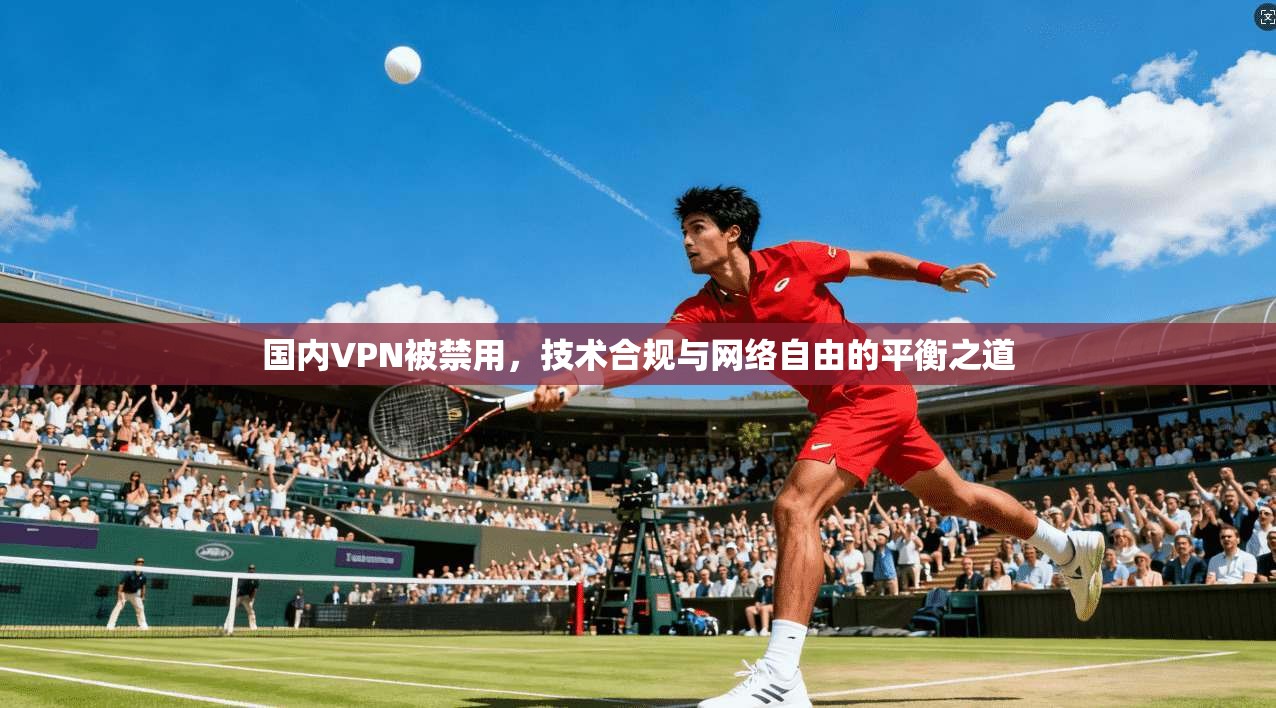 国内VPN被禁用，技术合规与网络自由的平衡之道