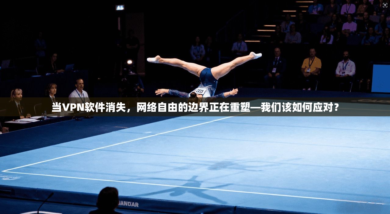 当VPN软件消失，网络自由的边界正在重塑—我们该如何应对？