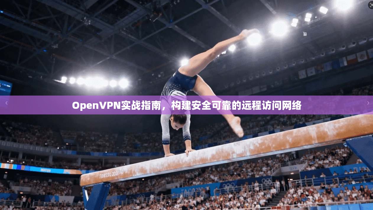 OpenVPN实战指南，构建安全可靠的远程访问网络