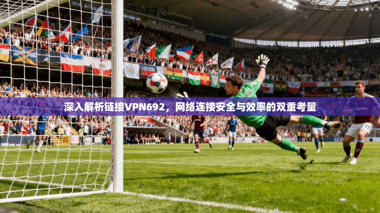 深入解析链接VPN692，网络连接安全与效率的双重考量