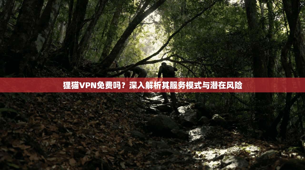 狸猫VPN免费吗?深入解析其服务模式与潜在风险