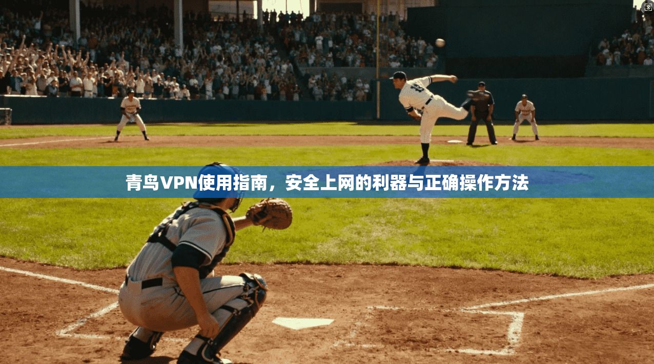 青鸟VPN使用指南,安全上网的利器与正确操作方法
