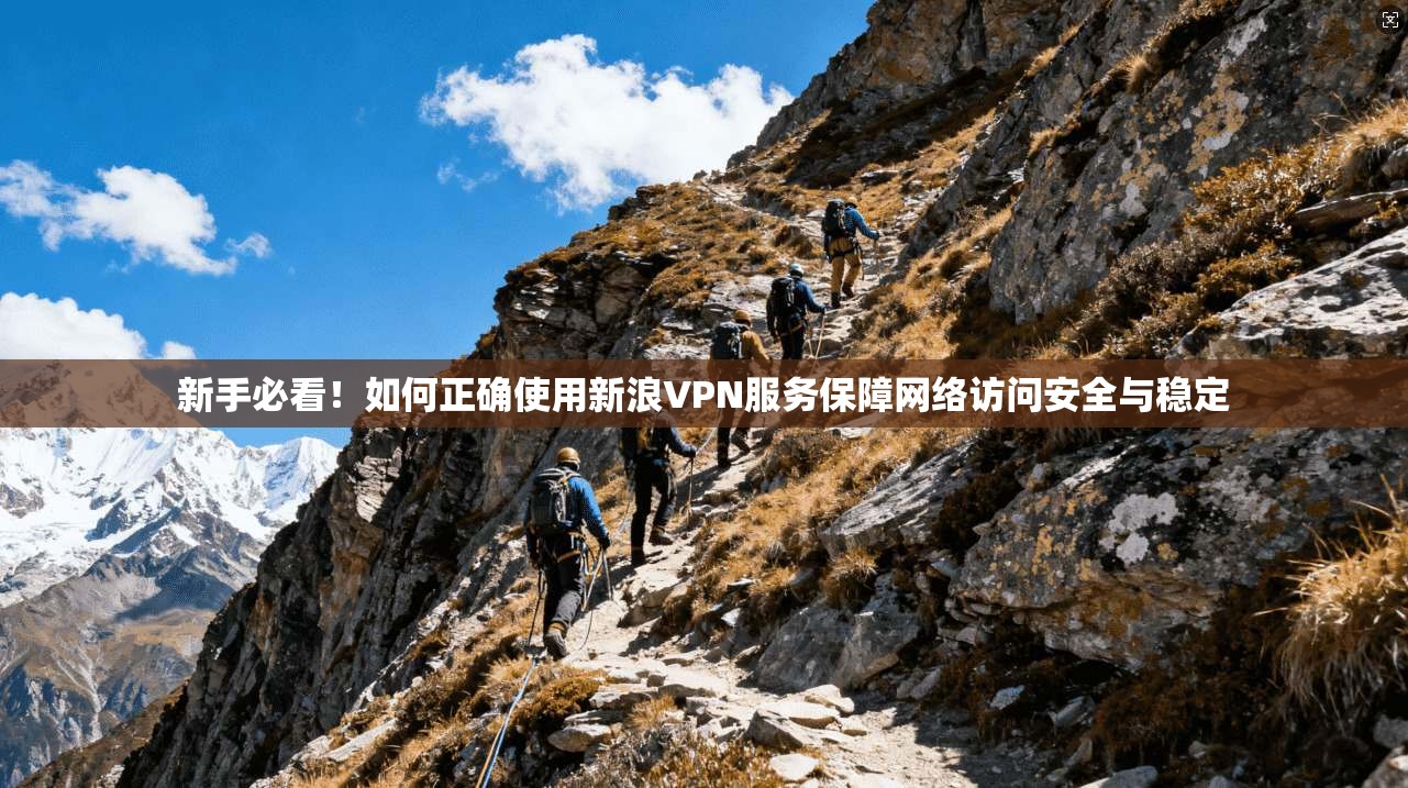 新手必看!如何正确使用新浪VPN服务保障网络访问安全与稳定