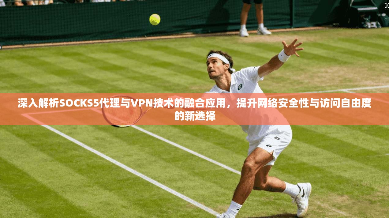 深入解析SOCKS5代理与VPN技术的融合应用,提升网络安全性与访问自由度的新选择