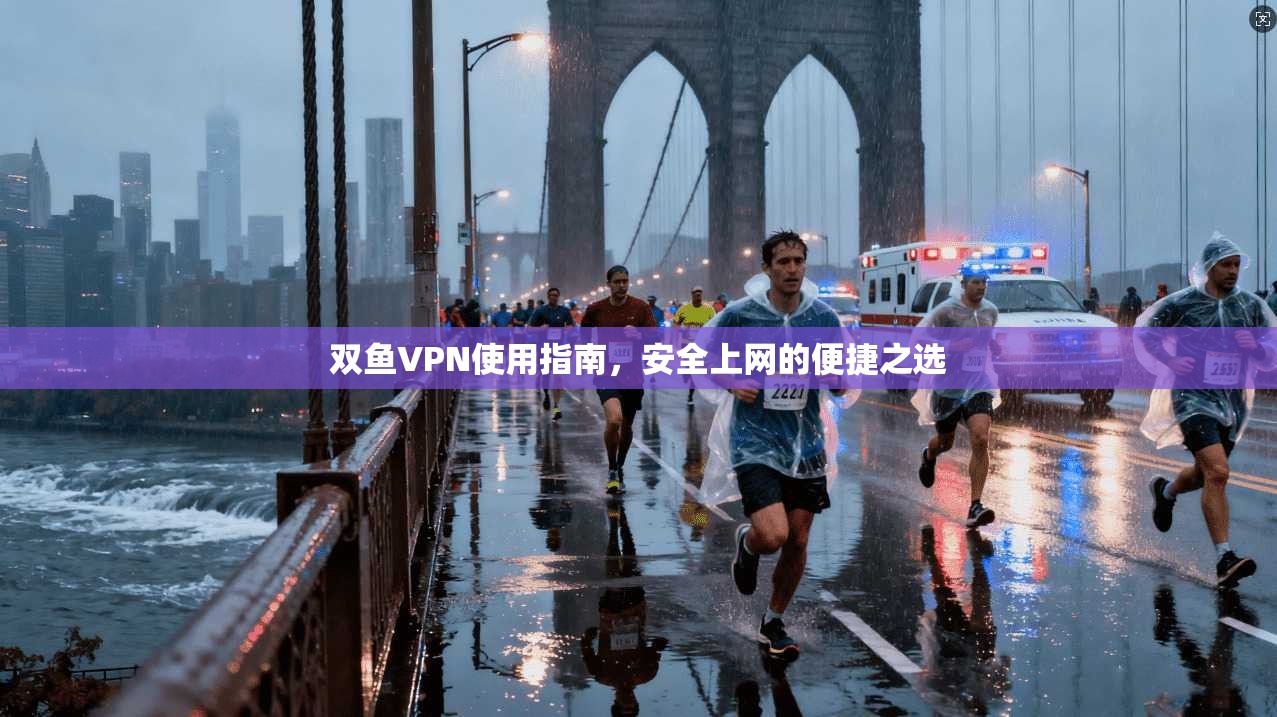 双鱼VPN使用指南，安全上网的便捷之选