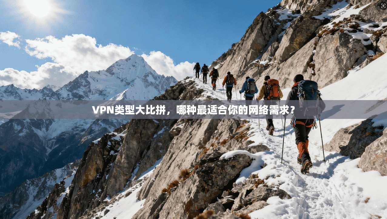 VPN类型大比拼，哪种最适合你的网络需求？