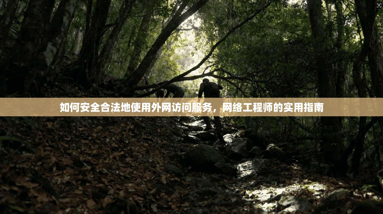 如何安全合法地使用外网访问服务,网络工程师的实用指南