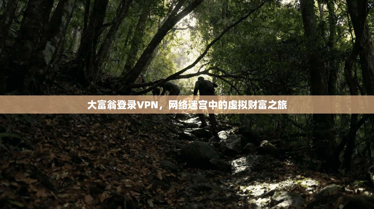 大富翁登录VPN,网络迷宫中的虚拟财富之旅