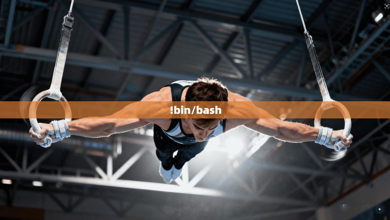 !bin/bash