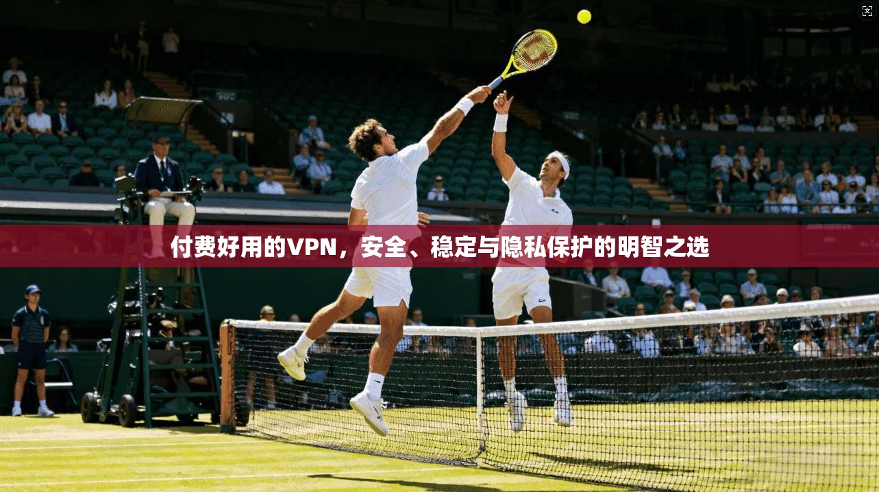 付费好用的VPN，安全、稳定与隐私保护的明智之选