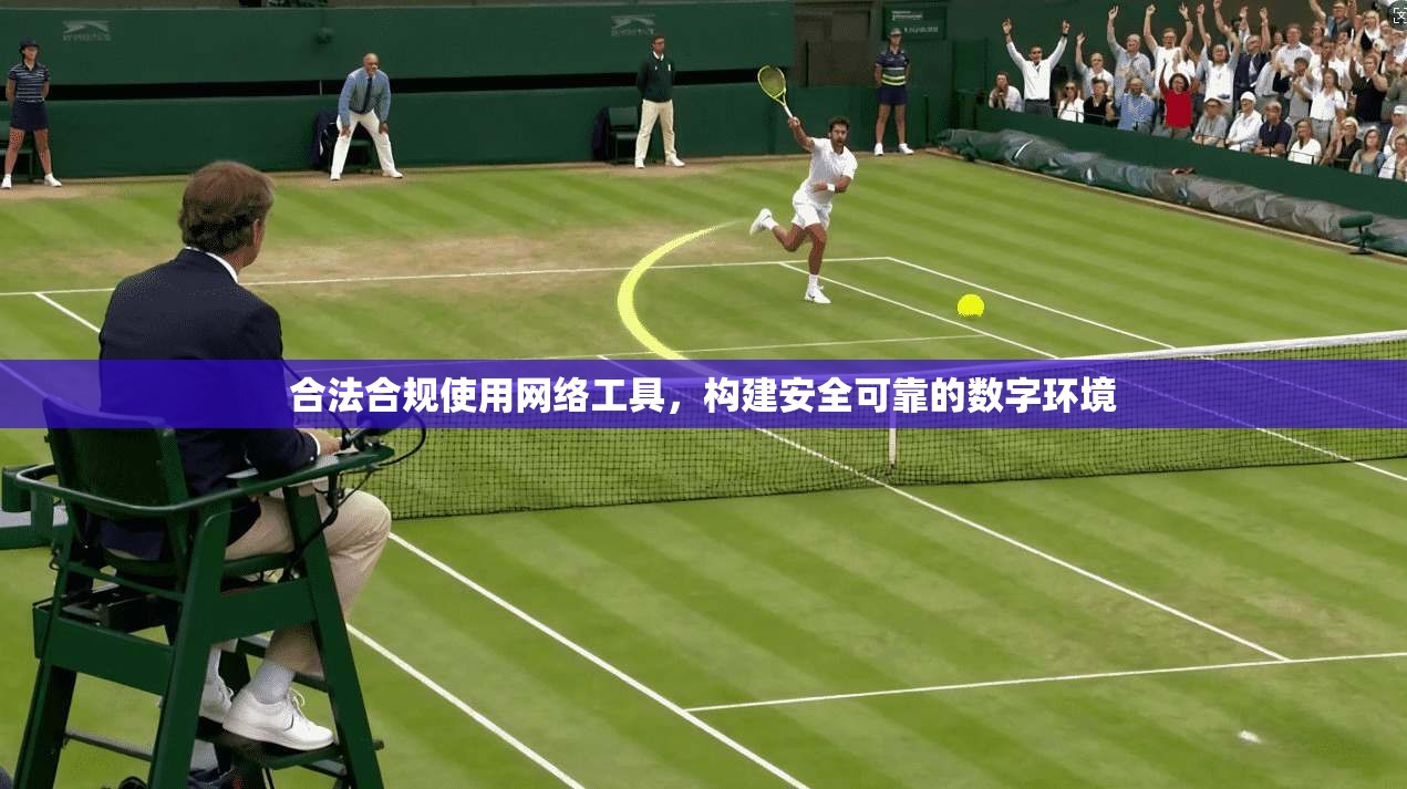 合法合规使用网络工具，构建安全可靠的数字环境