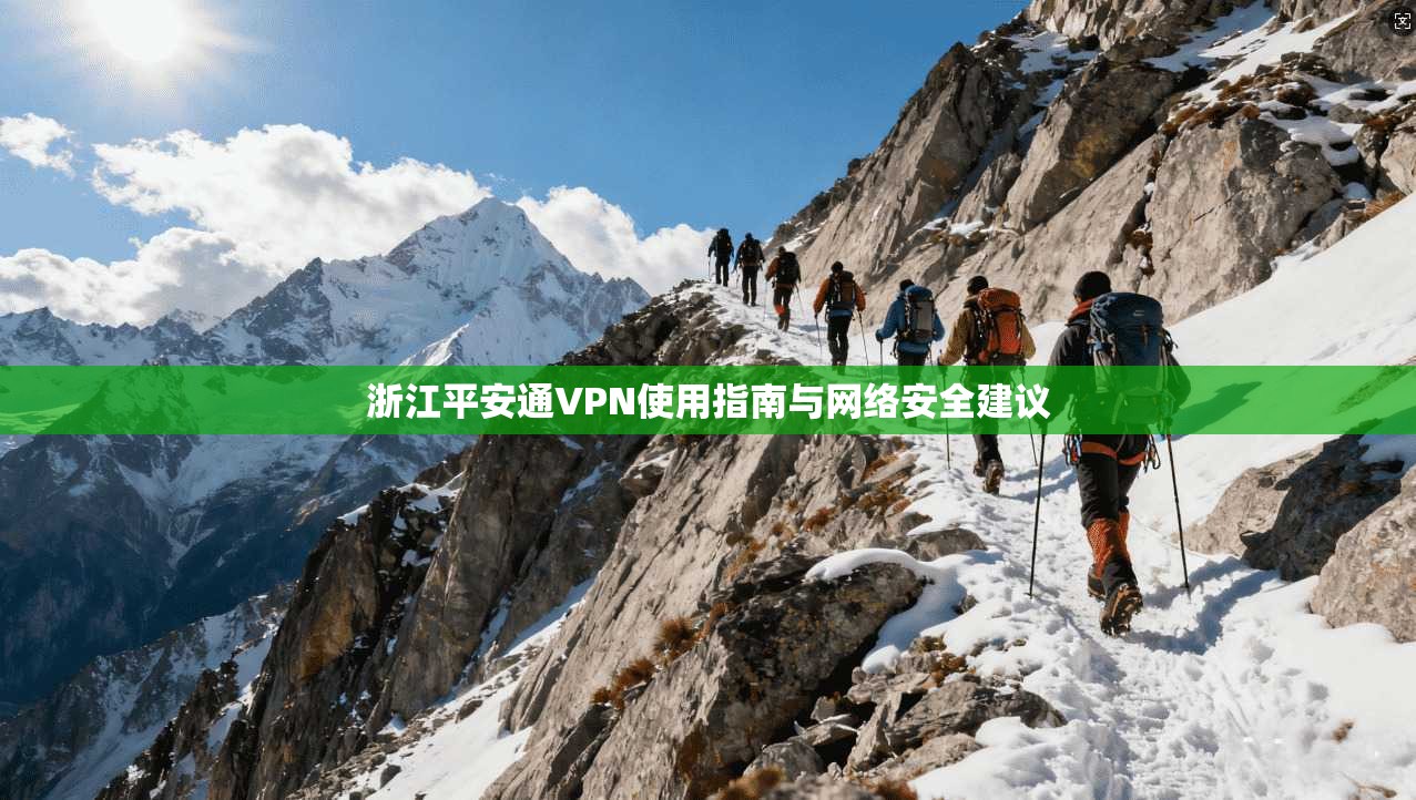 浙江平安通VPN使用指南与网络安全建议