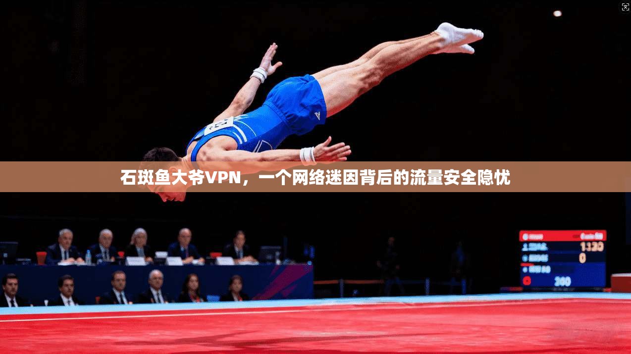 石斑鱼大爷VPN，一个网络迷因背后的流量安全隐忧