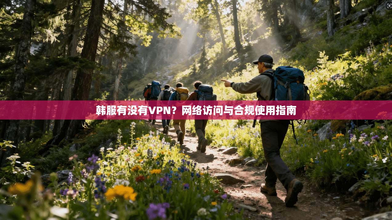 韩服有没有VPN？网络访问与合规使用指南