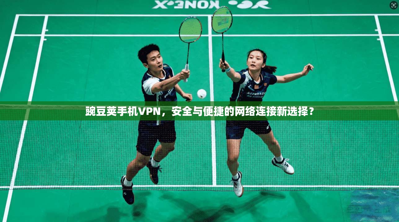 豌豆荚手机VPN，安全与便捷的网络连接新选择？