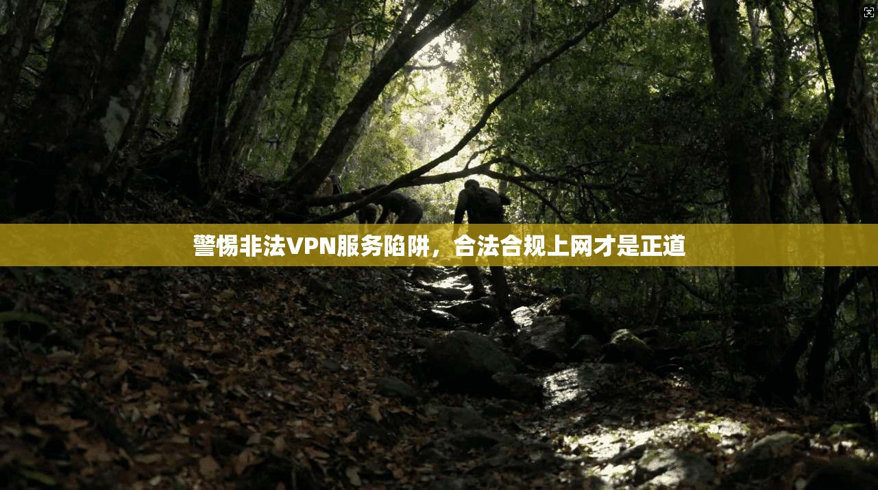 警惕非法VPN服务陷阱，合法合规上网才是正道