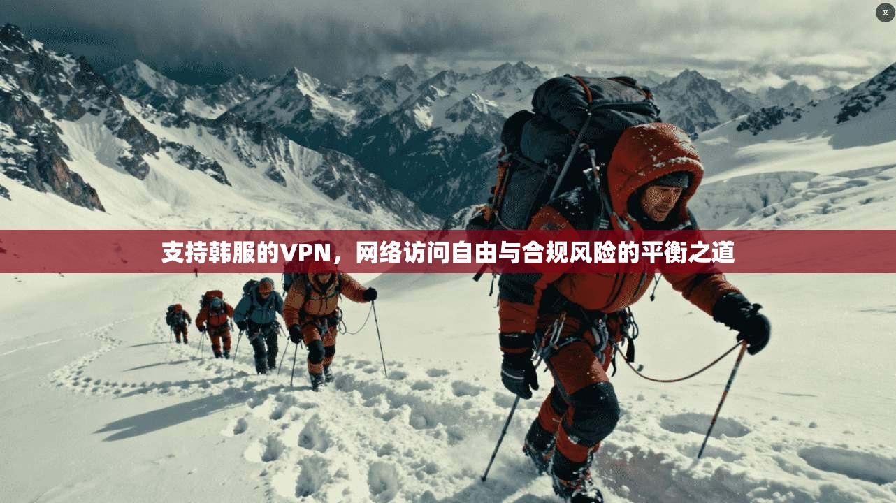支持韩服的VPN,网络访问自由与合规风险的平衡之道