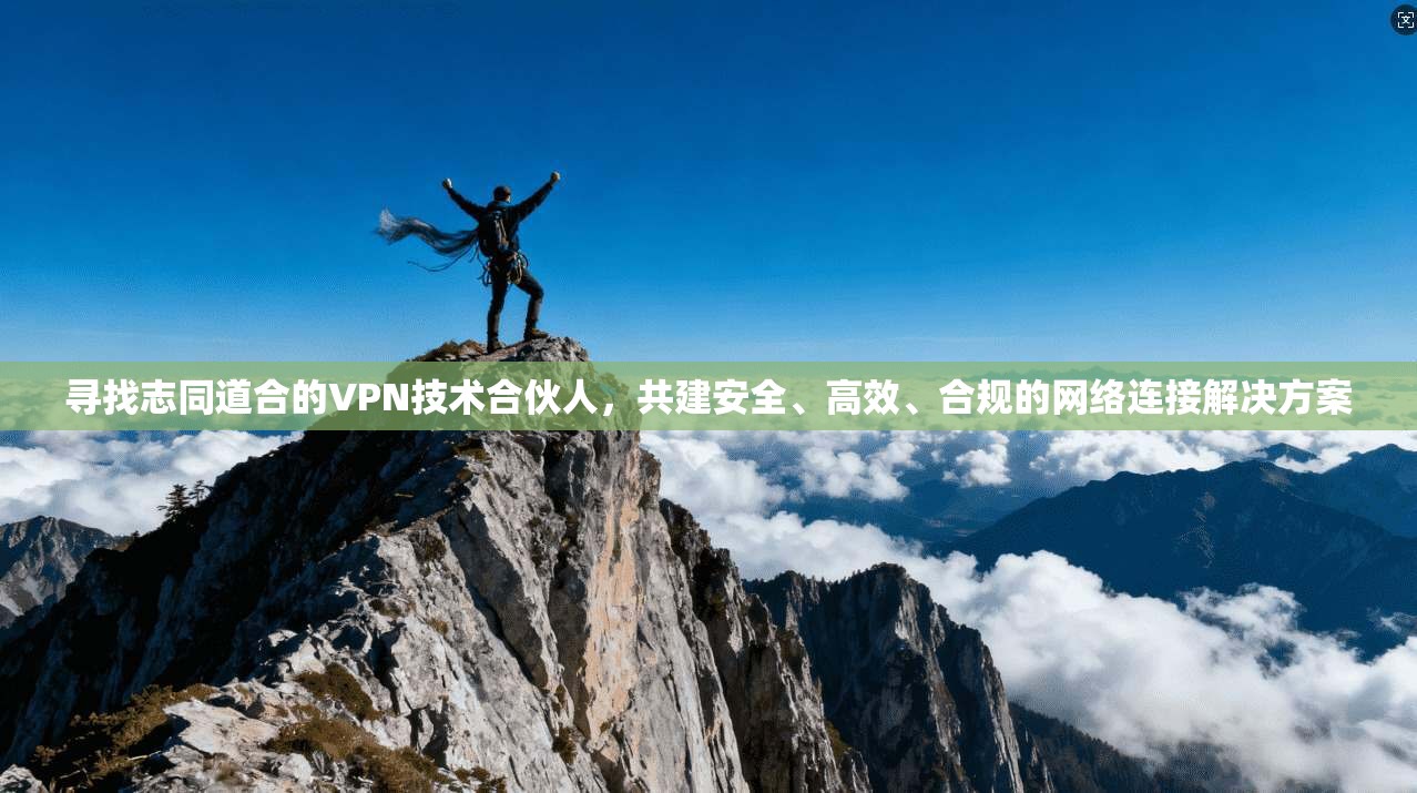寻找志同道合的VPN技术合伙人，共建安全、高效、合规的网络连接解决方案